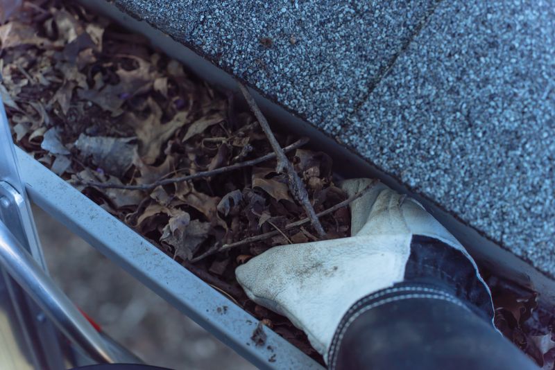 Gutter Debris Removal